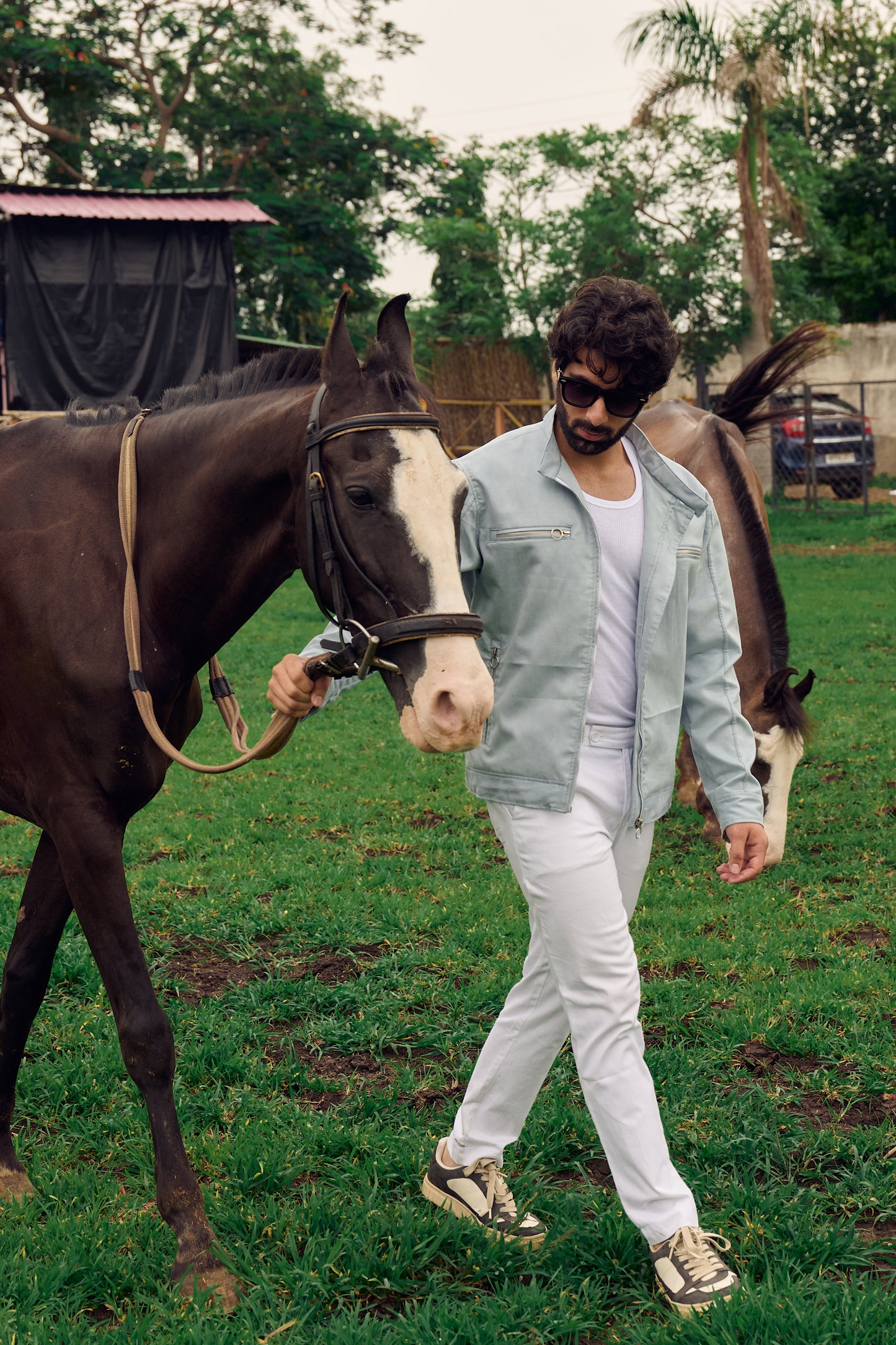 The Cavalier Bomber Jacket